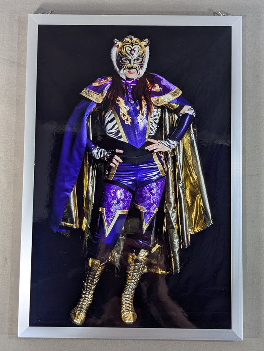 ★ ★ Weekly Pro Wrestling  Tiger Queen photo  Panel