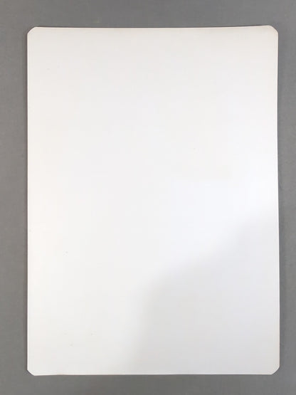 [MakiUeda hand signed autograph ] Beauty Pair Shitajiki (Pencil board) (2)