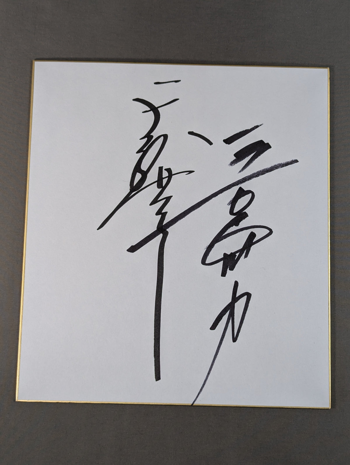 天龍源一郎＆長州力